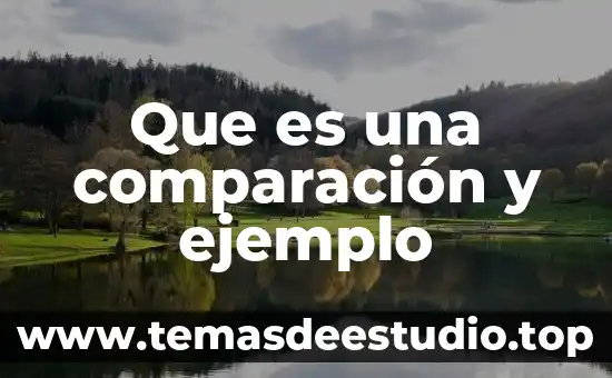 Qué es argumento deductivo analógico deductivo con un ejemplo 3 Que es una comparación y ejemplo