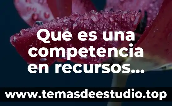 Que es razonamiento de recursos 6 Que es una competencia en recursos humanos