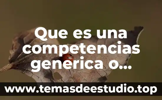 Que es una norma generica 3 Que es una competencias generica o transversales