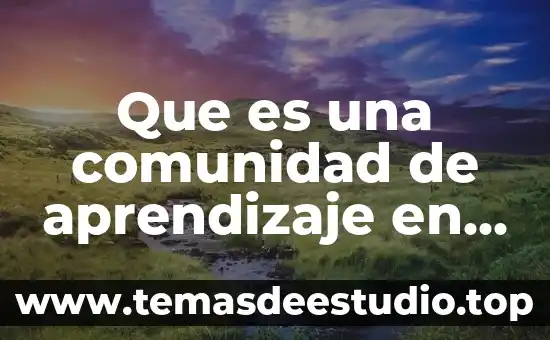 Que es una comunidad de aprendizaje en internet