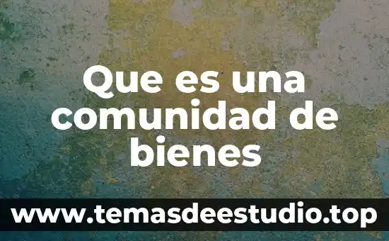 Que es una comunidad de bienes