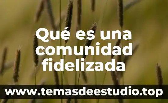 Que es una comunidad toxica 5 Qué es una comunidad fidelizada