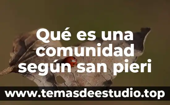 Qué es una comunidad según san pieri