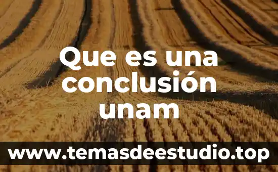 Que es un elemento unam 4 Que es una conclusión unam