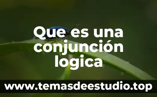 Que es una conjunción logica