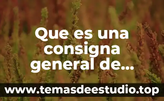 Que es una cabina de seguridad 3 Que es una consigna general de seguridad
