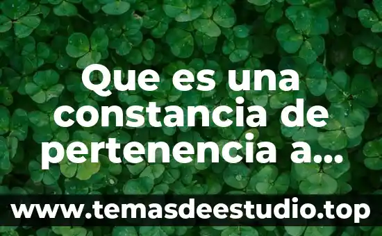 Que es una constancia de pertenencia a comunidad indigena