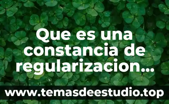 Que es una constancia de regularizacion de obra