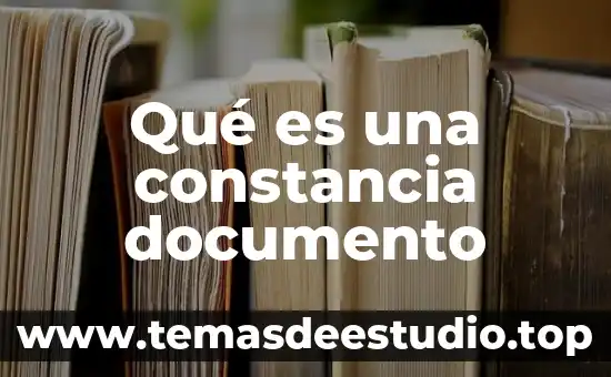 Qué es un documento as is 7 Qué es una constancia documento