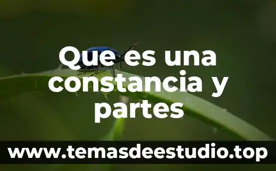 Que es un libro y sus partes para niños 3 Que es una constancia y partes
