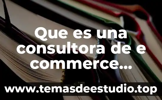 Que es la bandera humana 5 Que es una consultora de e commerce concepto