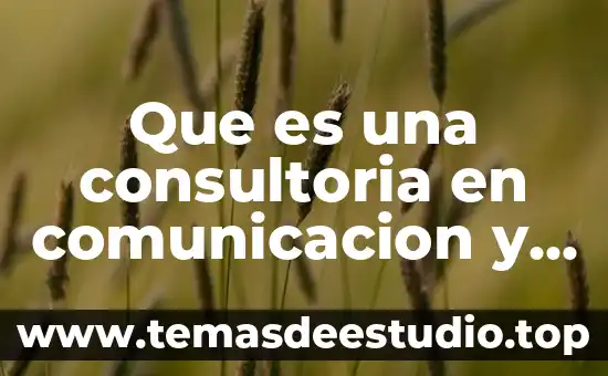 Que es el color en la comunicacion 7 Que es una consultoria en comunicacion y mercadotecnia
