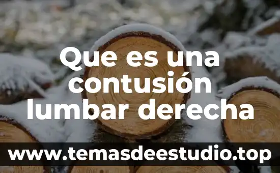 Que es la izquierda y la derecha en argentina 8 Que es una contusión lumbar derecha