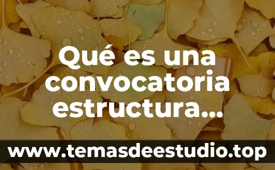 Qué es estructura en la historia 5 Qué es una convocatoria estructura elementos y ejemplo
