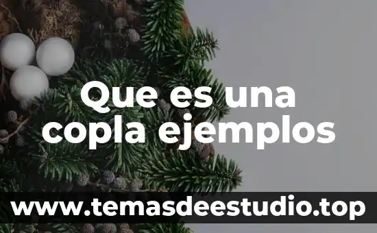 Que es una copla y ejemplos bebiendo luciendo 3 Que es una copla ejemplos