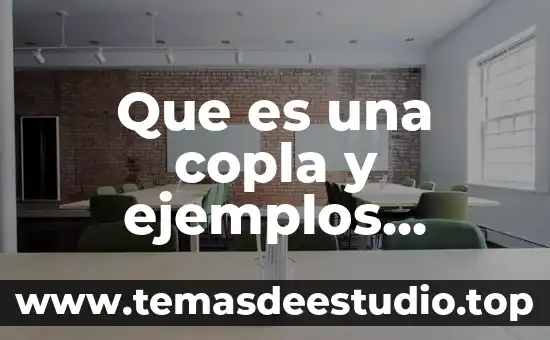 Que es una copla ejemplos 6 Que es una copla y ejemplos bebiendo luciendo
