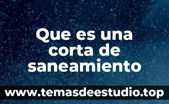 Que es la mision y vision empresarial articulos 4 Que es una corta de saneamiento