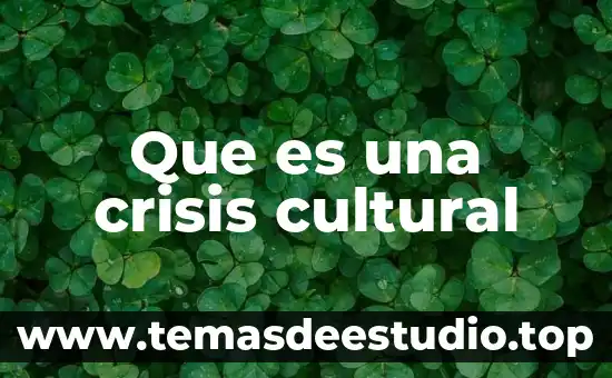 Que es una crisis cultural