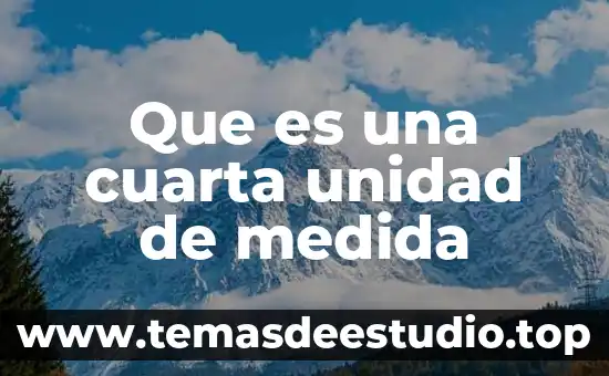 Que es la unidad de fototerapia 3 Que es una cuarta unidad de medida