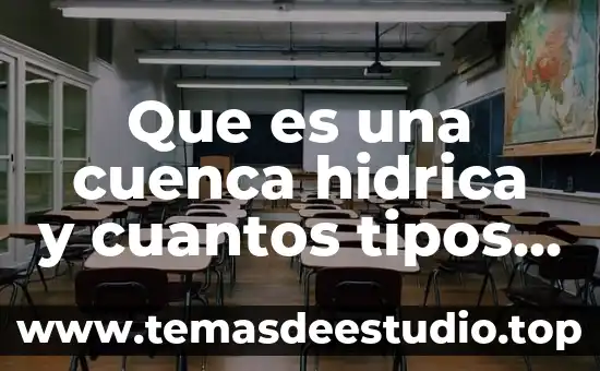 Que es la diabetes cuantos tipos hay medidas de prevención 5 Que es una cuenca hidrica y cuantos tipos hay
