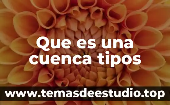 Que es una cuenca tipos