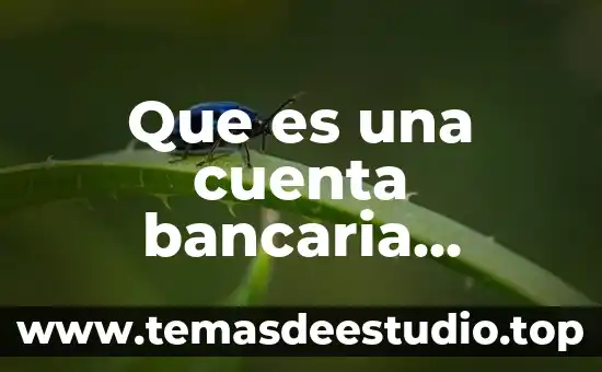 Qué es número de referencia bancaria 8 Que es una cuenta bancaria abierta