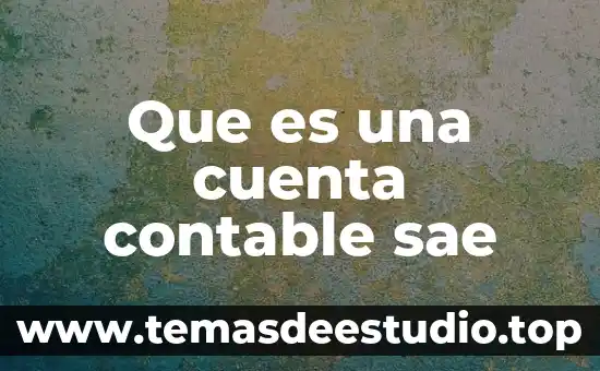 Número de pedimento que es 3 Que es una cuenta contable sae