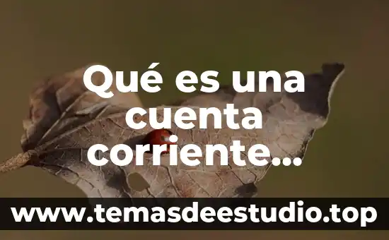 Que es la literatura arte 3 Qué es una cuenta corriente mercantil
