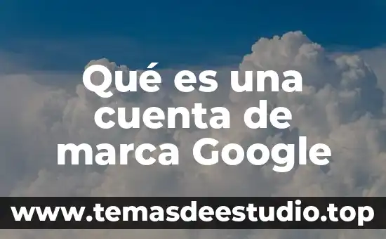 Qué es la marca de petro 4 Qué es una cuenta de marca Google