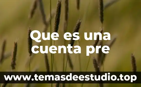Cuenta básica que es 4 Que es una cuenta pre