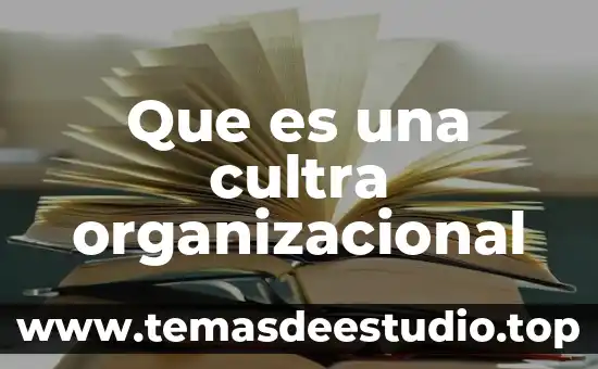 Qué es el aprendizaje organizacional según Armand 8 Que es una cultra organizacional