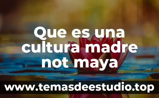 Cultura maya el hachi vink que es 6 Que es una cultura madre not maya