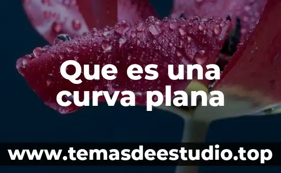Adquisiciones por extranjeros que es 4 Que es una curva plana
