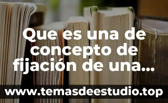 Que es una de concepto de fijación de una computadora