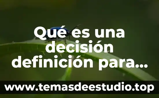 Qué es una decisión definición para niños