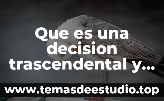 Qué es la estética trascendental en la filosofía 3 Que es una decision trascendental y un ejemplo