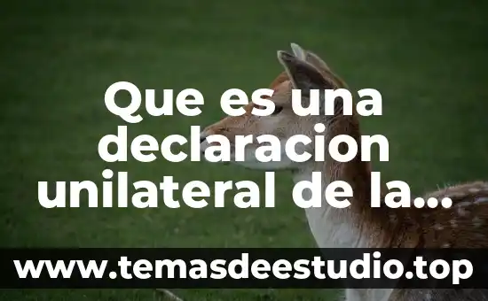 Que es pornografia unam 7 Que es una declaracion unilateral de la voluntad unam