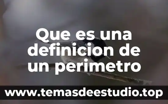 Qué es la definición estratégica 4 Que es una definicion de un perimetro