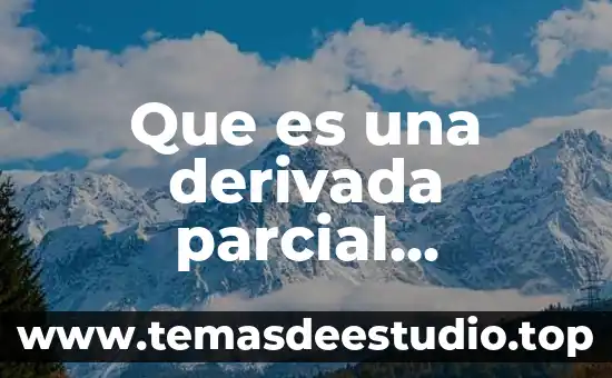 Que es la razon de cambio de la derivada 4 Que es una derivada parcial ejemplos