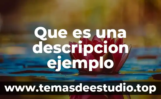 Qué es argumento deductivo analógico deductivo con un ejemplo 7 Que es una descripcion ejemplo