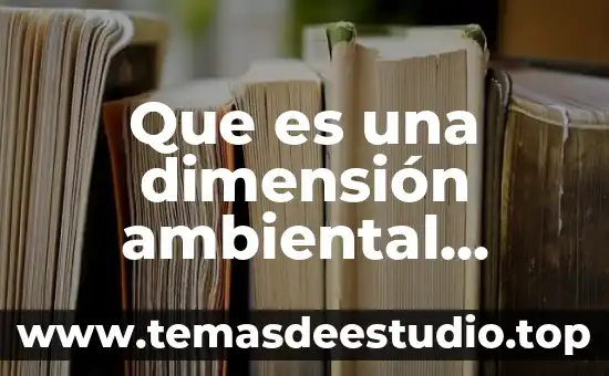 Que es una dimensión ambiental definición