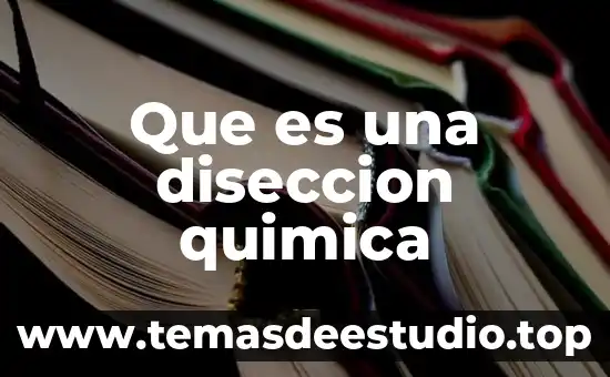 Que es la luz quimica fosforos 5 Que es una diseccion quimica