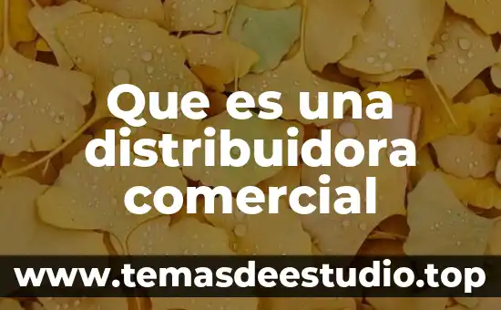 Qué es un país comercial 5 Que es una distribuidora comercial