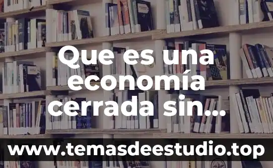 Que es una economía cerrada sin gobierno