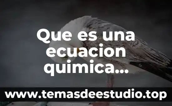 Ecuación de cantidad de movimiento que es hidráulica 7 Que es una ecuacion quimica sencillo