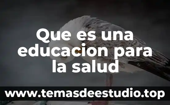 Que es una creencia en salud 4 Que es una educacion para la salud