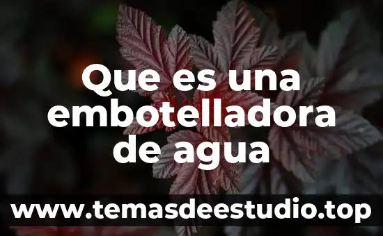Compocisiondel agua oceanica que es rl color 8 Que es una embotelladora de agua