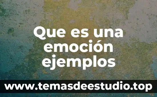 Que es un argumento analogicos ejemplos 8 Que es una emoción ejemplos