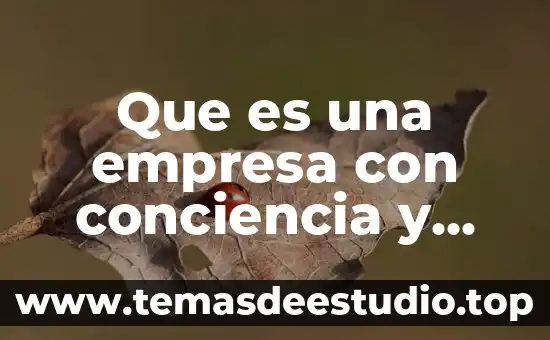 Cómo puede la conciencia reconocer lo que es bueno 5 Que es una empresa con conciencia y caracteristicas