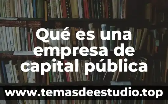 Que es la libertad en las actividades sociales 5 Qué es una empresa de capital pública